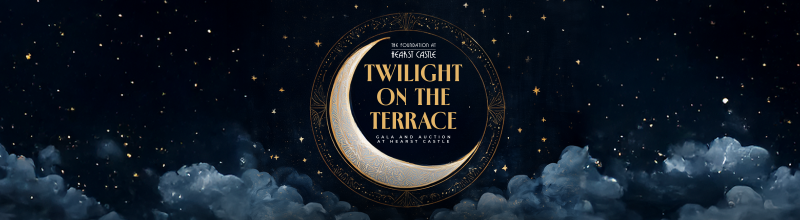 Twilight on the Terrace 2026 logo