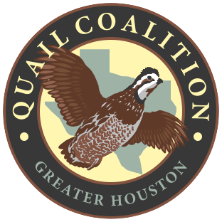 2026 Houston Quail Coalition logo