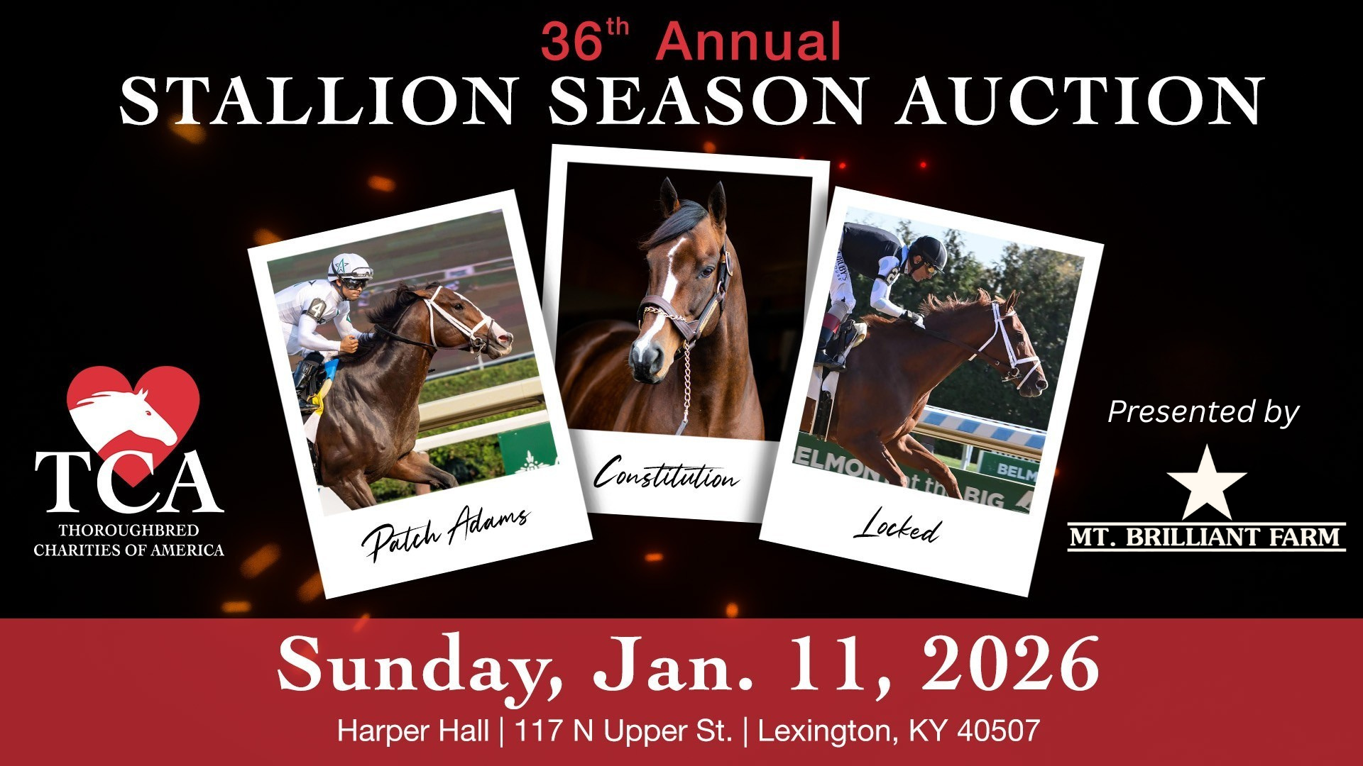 2026 Stallion Season Auction background