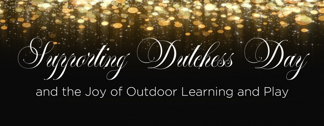 Red Carpet Gala banner