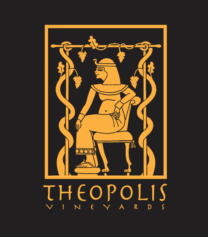 Sponsor logo