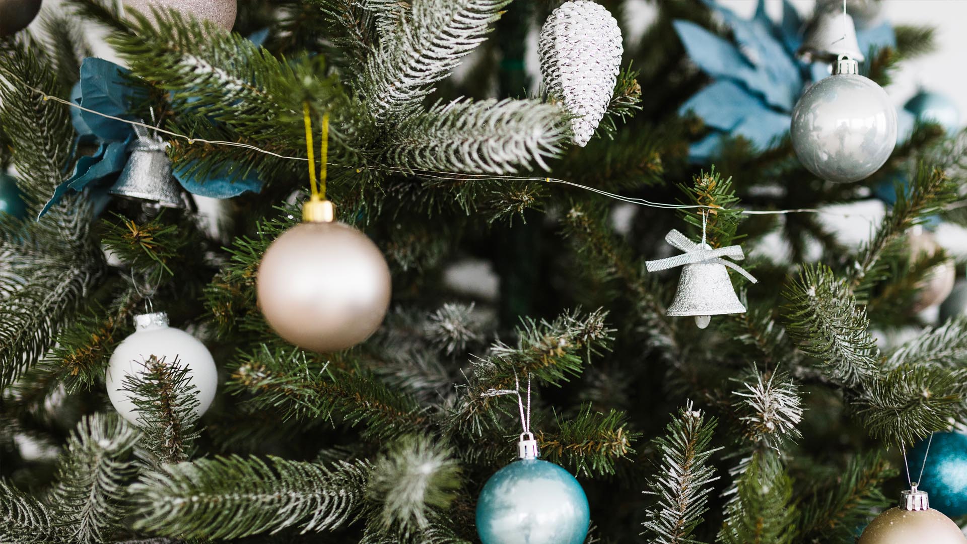 2025 JA Holiday Auction background