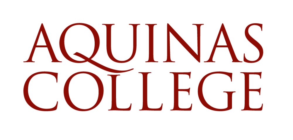 Sponsor logo