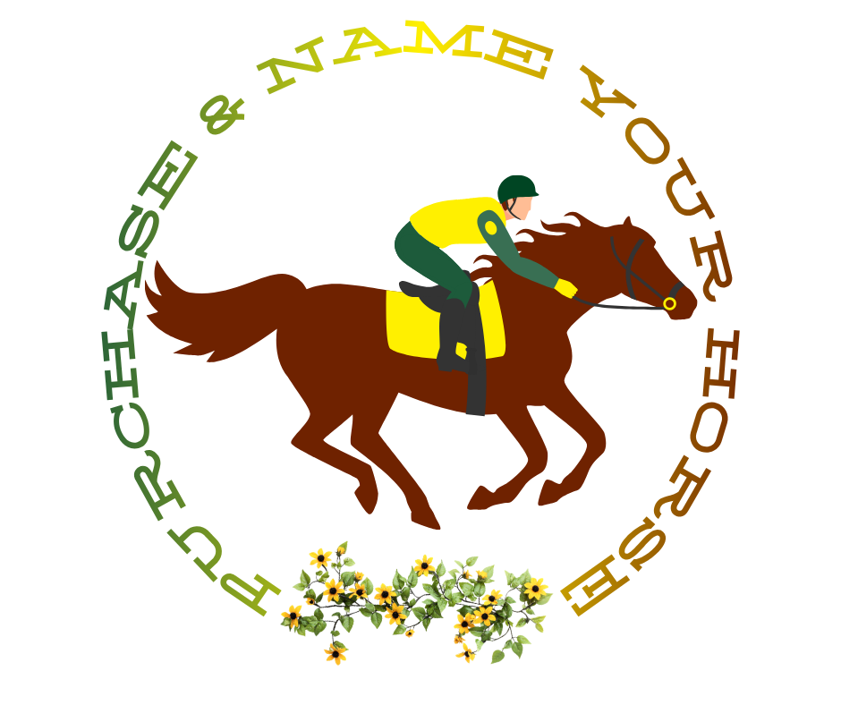 Cowboy Chic Derby for Marye with an "e" Endowment banner