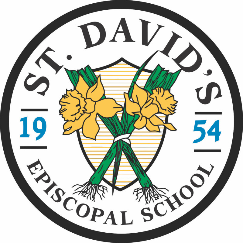 Take a Chance on St. David's logo