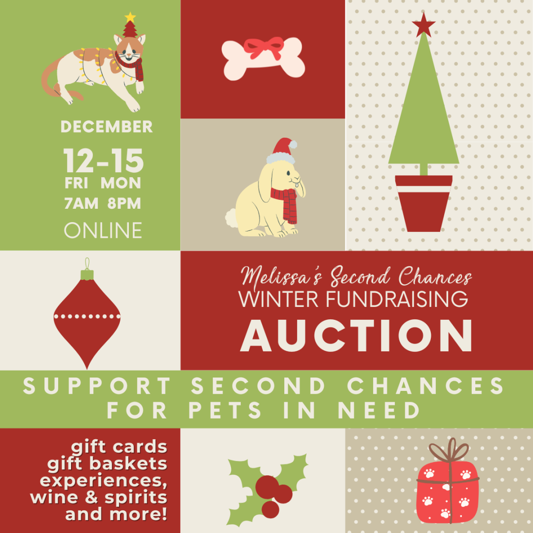 Holiday Auction background