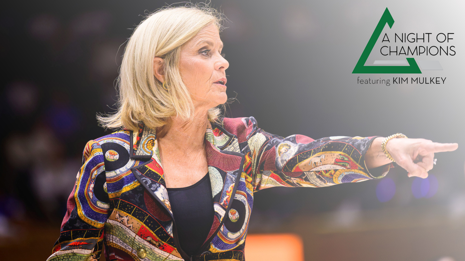 Night of Champions background