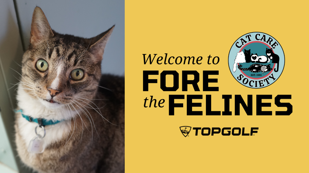 Fore the Felines 2026 banner