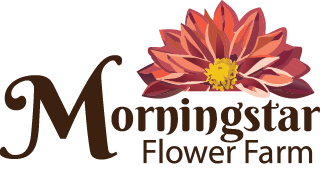 Morningstar Flower Farm