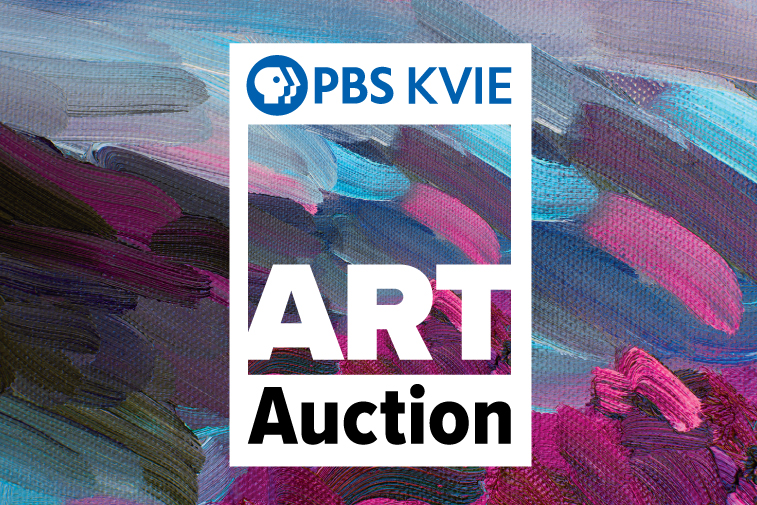 PBS KVIE background