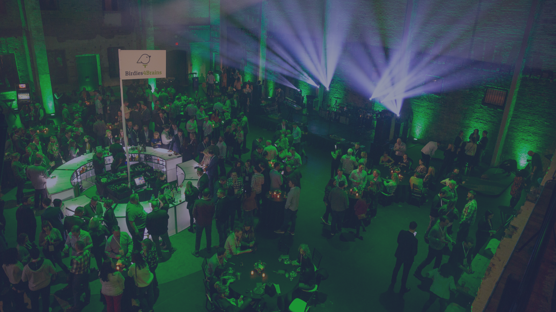 Birdies4Brains UnGala 2023 background