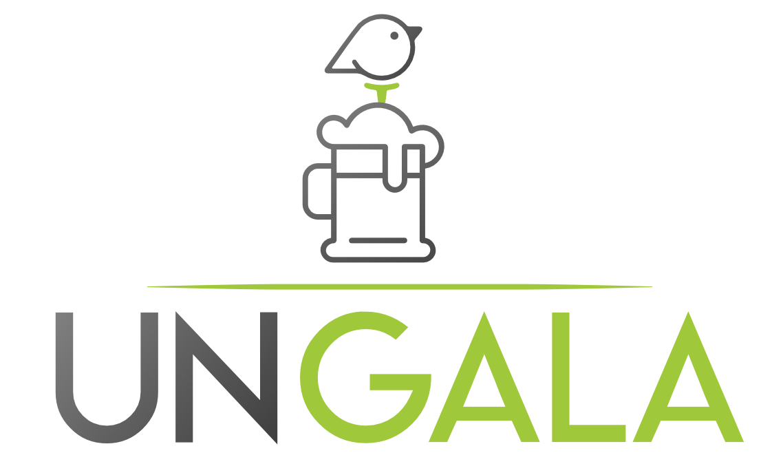 Birdies4Brains UnGala 2023 logo