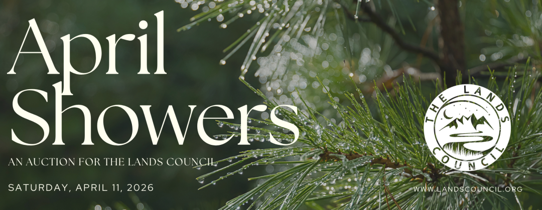 April Showers Auction 2026 banner