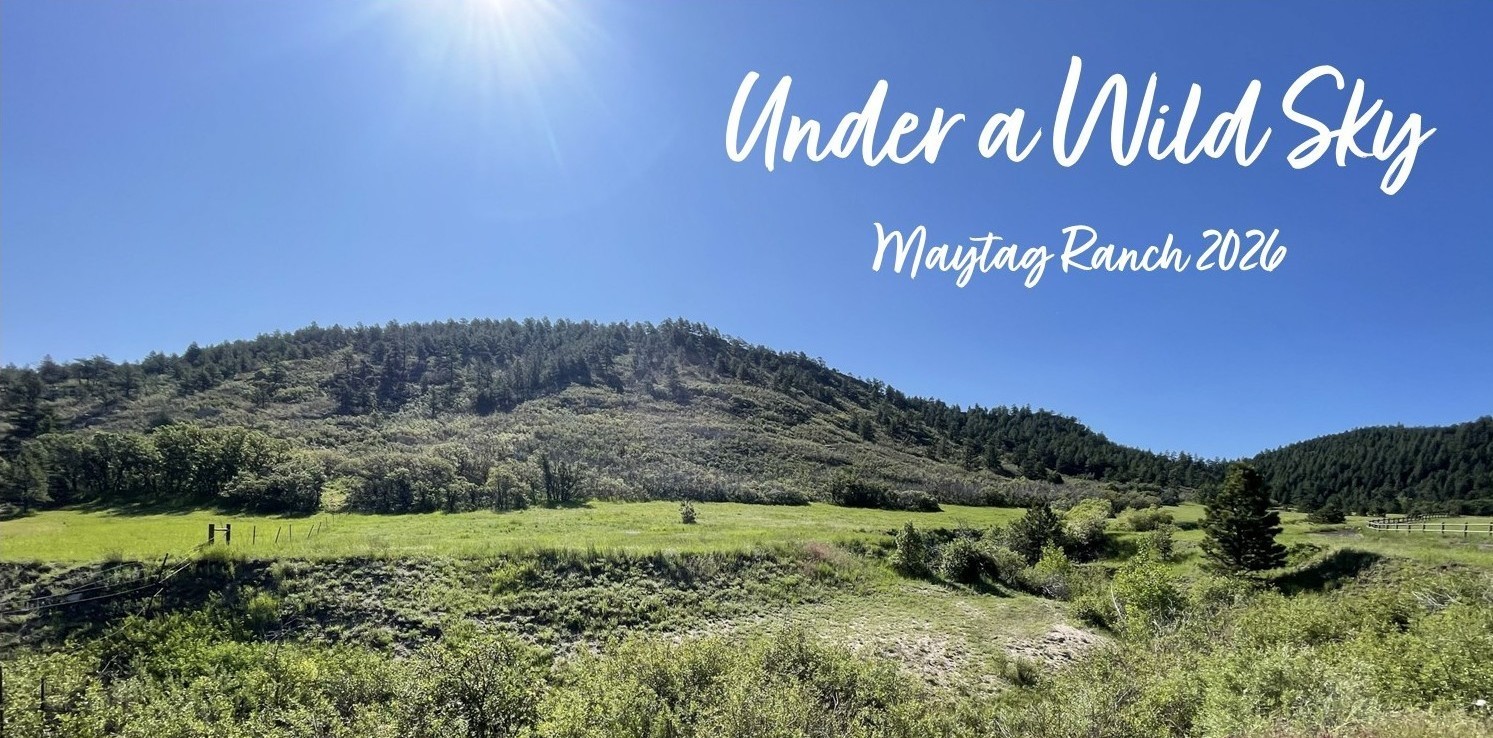 Douglas Land Conservancy | Under A Wild Sky background