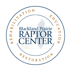 Raptors & Rhinestones - Blackland Prairie Raptor Center Gala 2026 logo