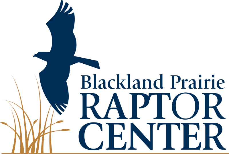 Raptors & Rhinestones - Blackland Prairie Raptor Center Gala 2026 logo