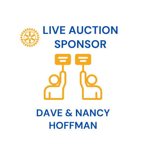 Sponsor logo