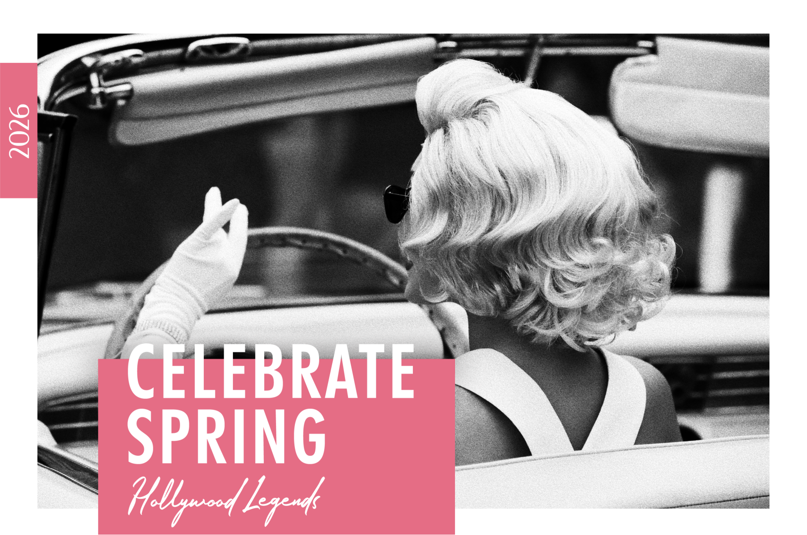 Celebrate Spring 2026 background