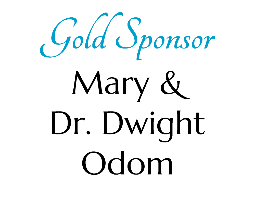 Sponsor logo