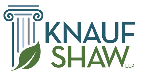 Sponsor logo