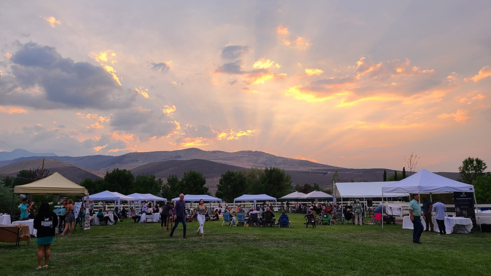 Horses & Harmony background