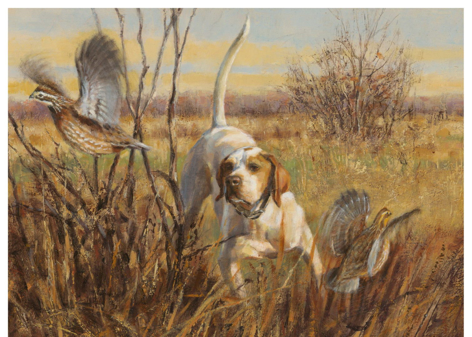 2026 Sooner State Quail Coalition Dinner & Auction  background