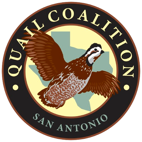2026 San Antonio Quail Coalition logo