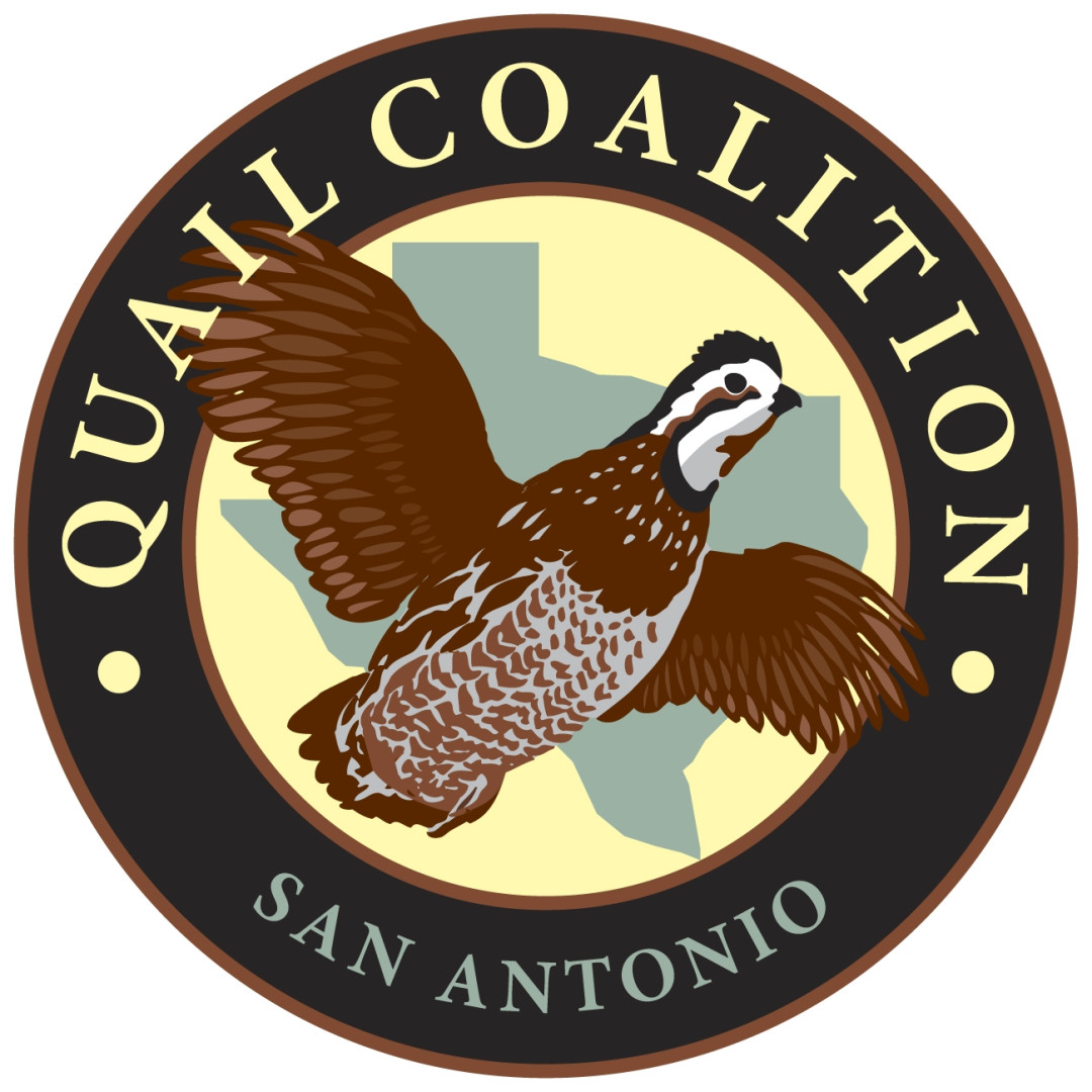 2026 San Antonio Quail Coalition banner