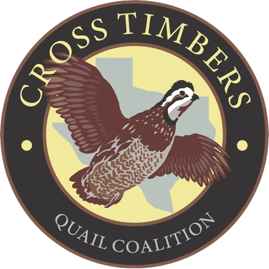 2026 Cross Timbers Quail Coalition banner