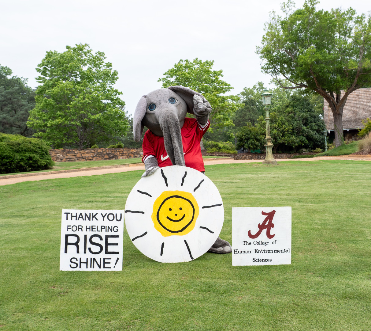 CHIP in for RISE background