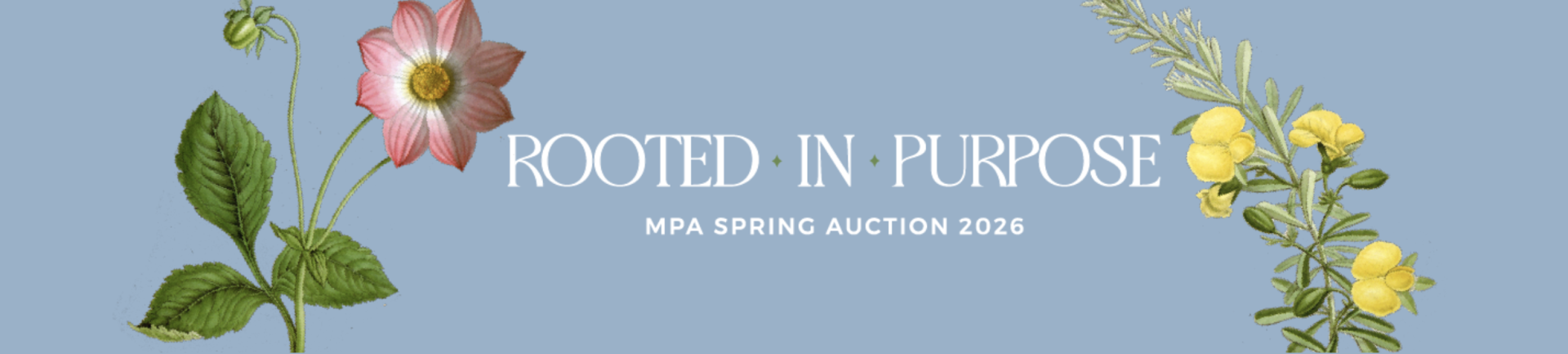 Mounds Park Academy 2026 Spring Auction background