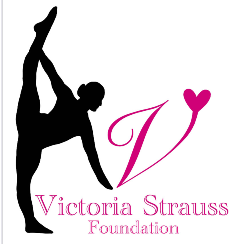 VSF – Limited Edition Merchandise Preorder logo