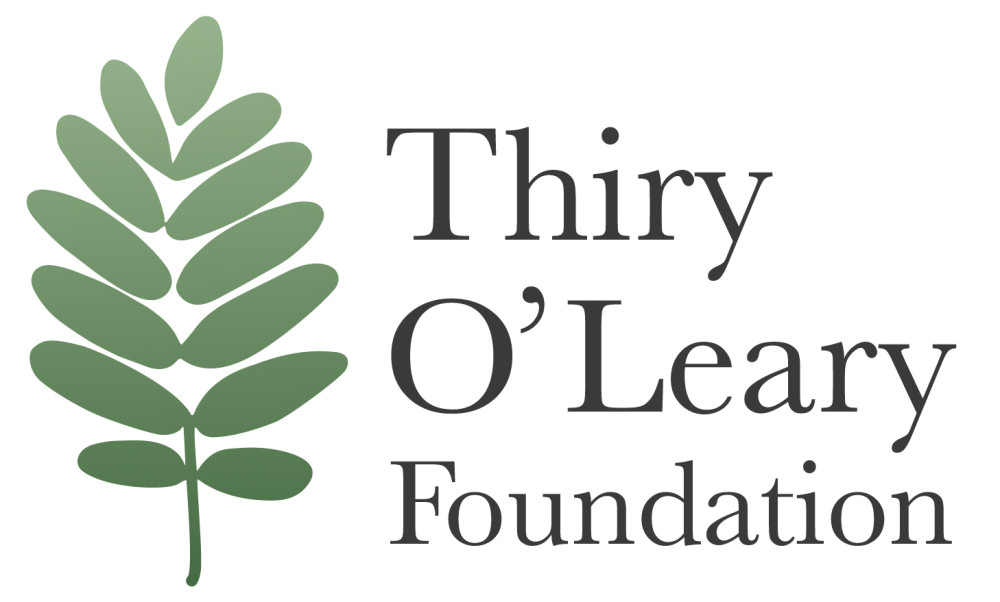 Sponsor logo