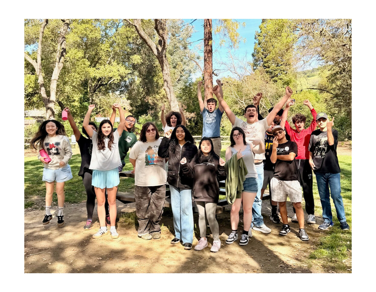 The Springstone School's 23rd Annual Auction background