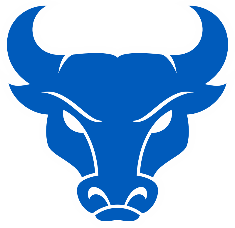 Buffalo Jersey Auction logo
