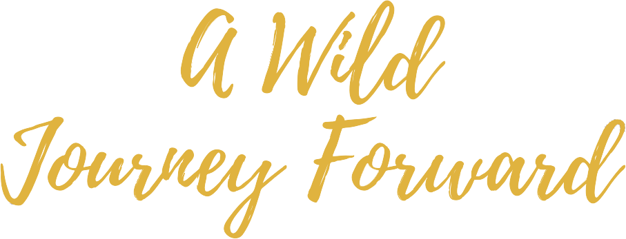 Event Title: 	A Wild Journey Forward