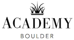 Sponsor logo