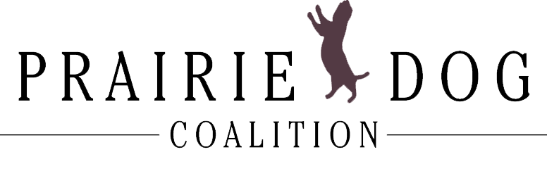 Living on Burrowed Time 2026 banner