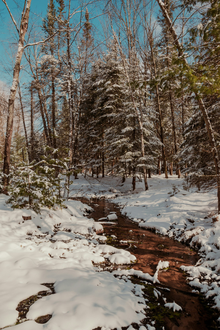 DYC Foundation 2026 Annual Fundraiser banner