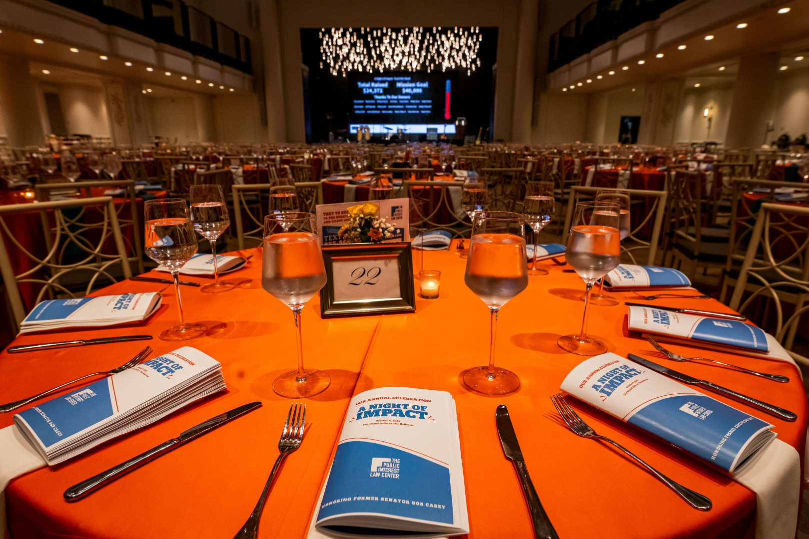 A Night of Impact: 2026 Annual Celebration background