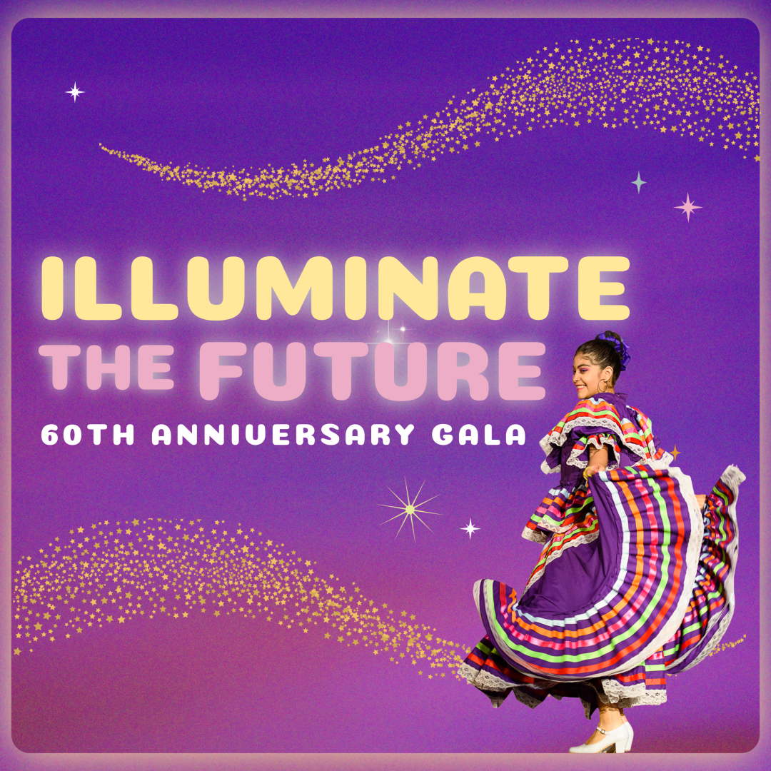 Guadalupe's Illuminate the Future Gala background