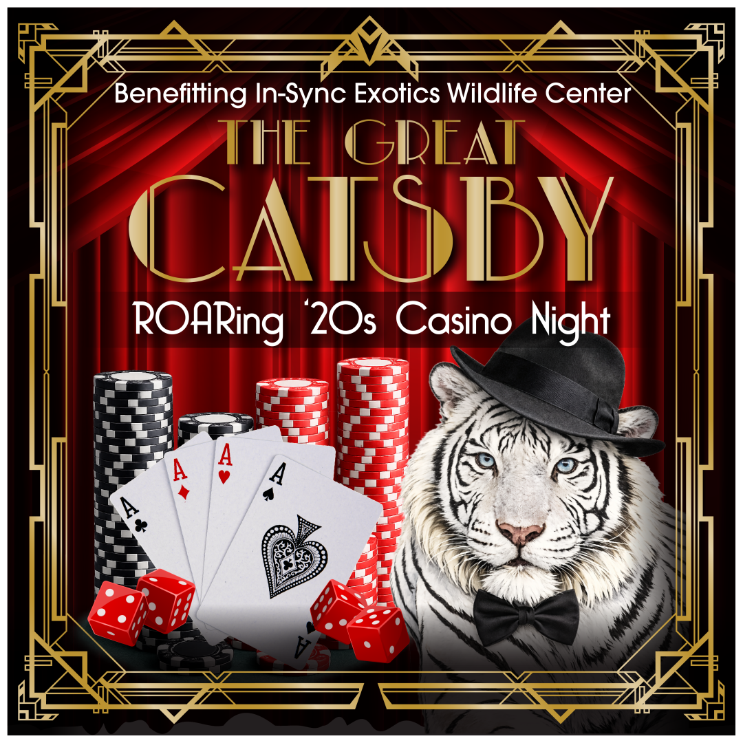 2026 - THE GREAT CATSBY background