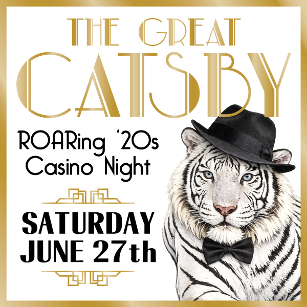 2026 - THE GREAT CATSBY banner