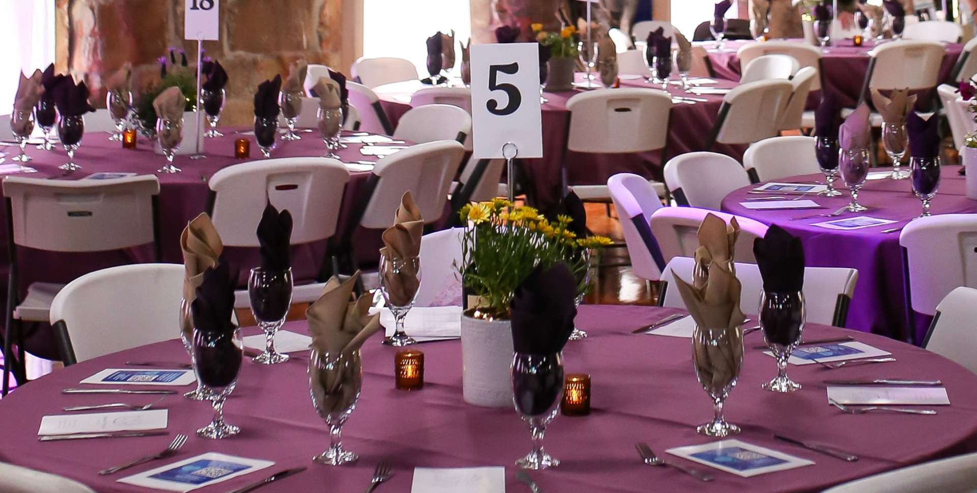 2026 Annual Dinner & Auction background