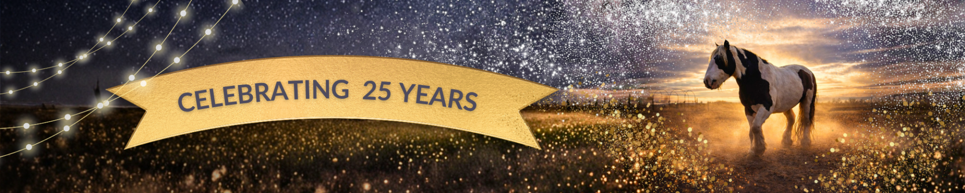 25th Anniversary 2026 Gala background