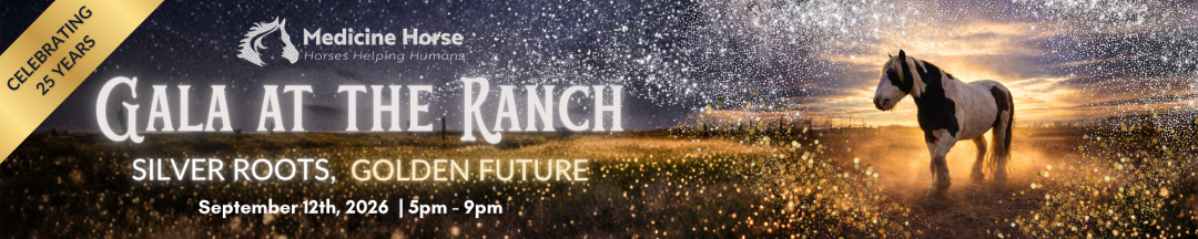 25th Anniversary 2026 Gala banner