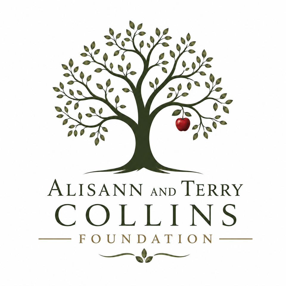 Sponsor logo