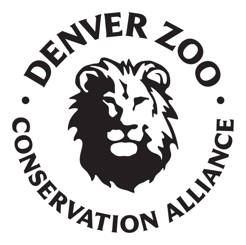 Flock Party 2026 logo