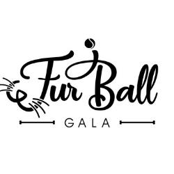 Furball 2026 banner
