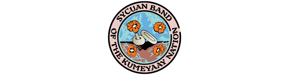 Sponsor logo